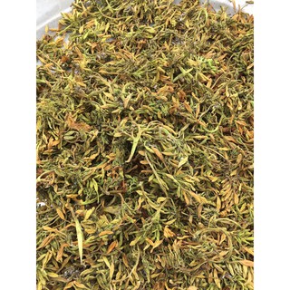 Hoa đu đủ đực loại nhất hỗ trợ tiêu hoá, chống ung thư, hạ đường huyết, giảm viêm loét dạ dày 500gr