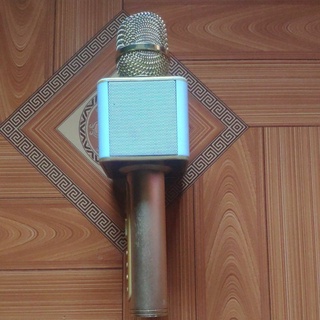 cái mic của tôi