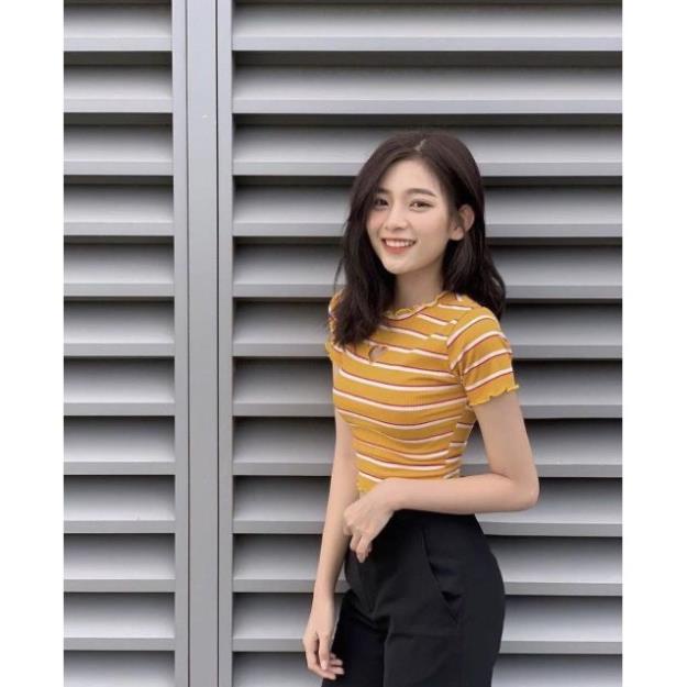 Áo kiểu croptop sọc đủ màu - vải tốt đẹp đủ màu - dễ phối đồ