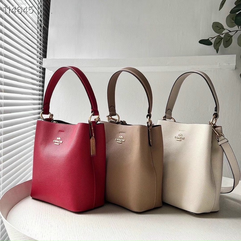 Túi Coach bucket