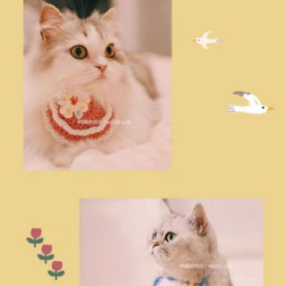 Yếm len handmade cho các pet cưng
