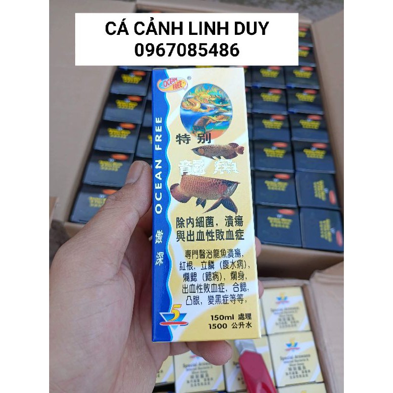 DÀNH CHO CÁ RỒNG CHAI SỐ 5