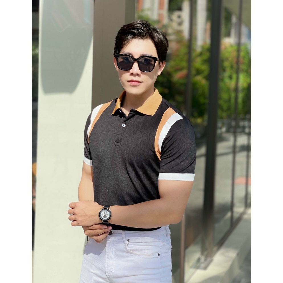 Áo polo nam cổ bẻ vải cá sấu Cotton xuất xịn,chuẩn form, sang trọng - thanh lịch TB021