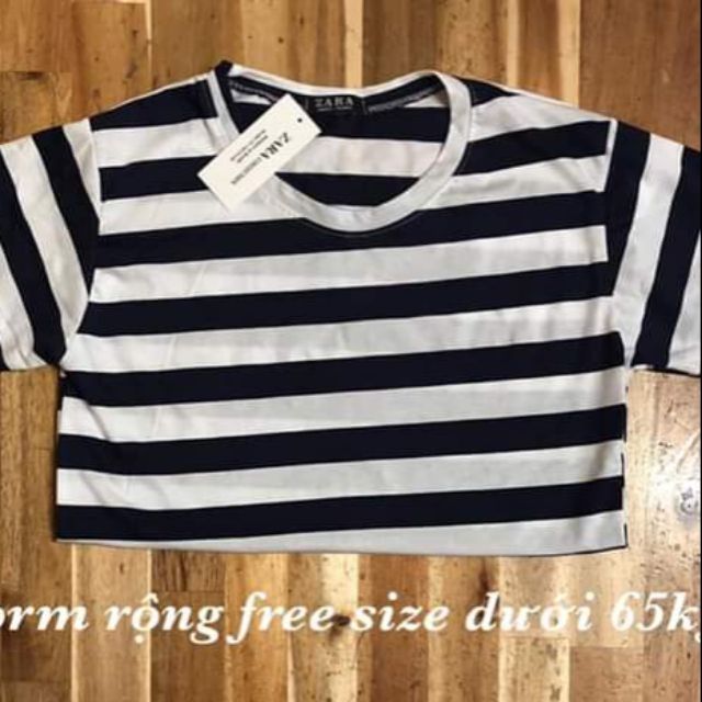 Áo thun zara
