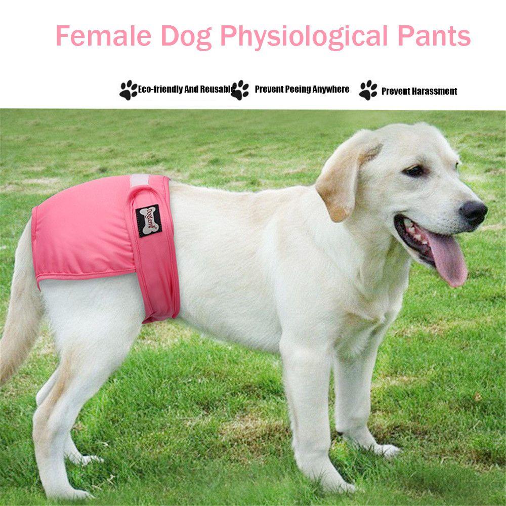 Layor1 Quần Lót Sinh Lý Mềm Mại Thấm Hút Tốt Cho Cún Cưng