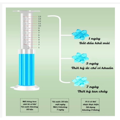 [Siêu Hot]Gel Làm Sạch Khử Mùi Cho Bồn Cầu Nhà Vệ Sinh Dạng Thạch Hình bông Hoa nhiều mùi