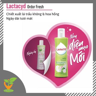 Dung dịch vệ sinh LACTACYD ORDOR FRESH trầu không 150ml [DDVSPH Lactacyd trầu không]
