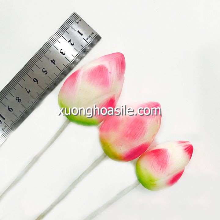 BÚP SEN MẪU MỚI