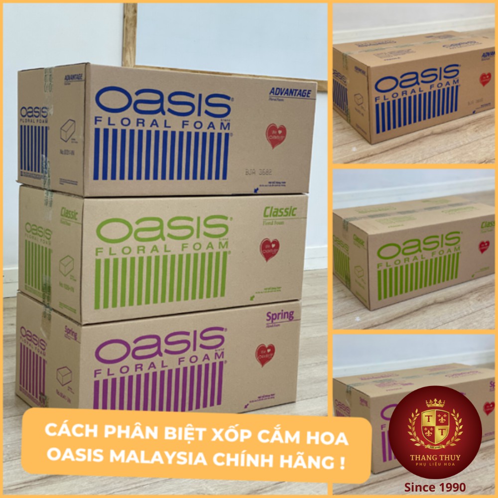 Xốp Cắm Hoa Tươi Oasis Chính Hãng Giữ Nước Tươi Lâu Made in Malaysia