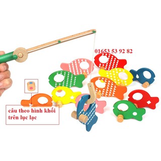 Bộ câu cá gỗ xuất Nhật