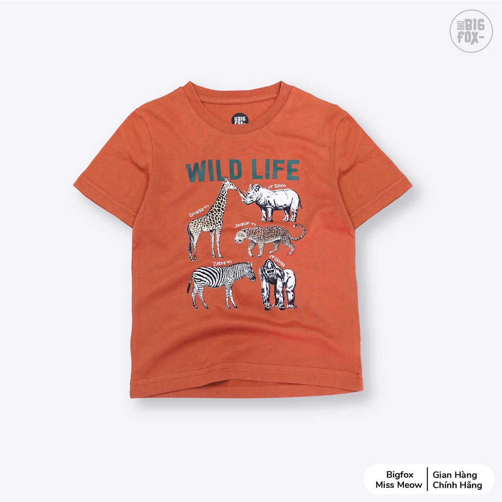 Áo phông bé trai Bigfox - Miss Meow mặc hè chất cotton mềm mịn in wild life size trẻ em 3,4,5,6,7,8,9,10,11 tuổi