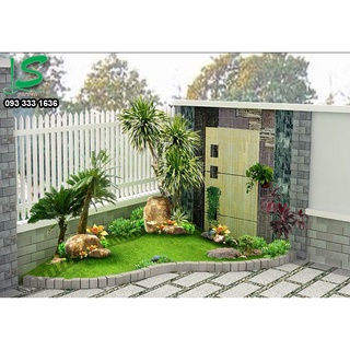 Hạt giống cỏ nhung nhật - cỏ thảm 5 gram