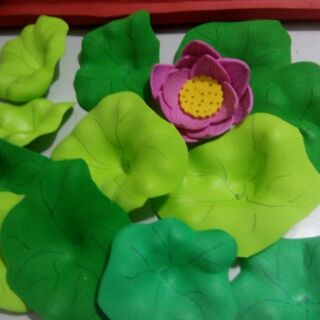 Hoa sen,lá sen rời