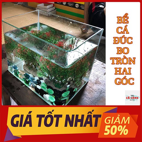 Bể Cá Cảnh Đúc Mini Bể (  26cm x 15cm x 18cm) Bo Tròn Hai Góc Cao Để Bàn Cao Cấp