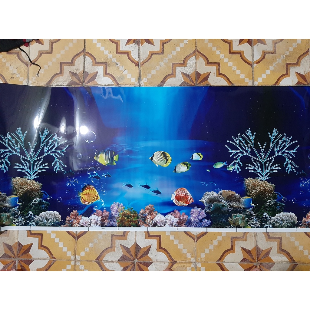 Tranh dán bể cá 1m