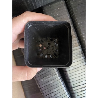 Chậu nhựa đen 5*5 ,7*7 và 9*9