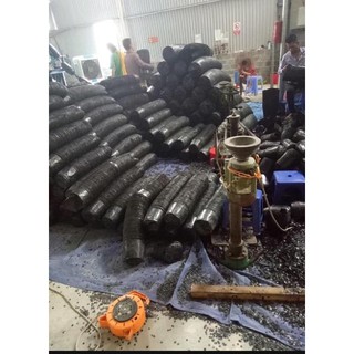 - 1kg túi bầu ươm cây các size nhập.
