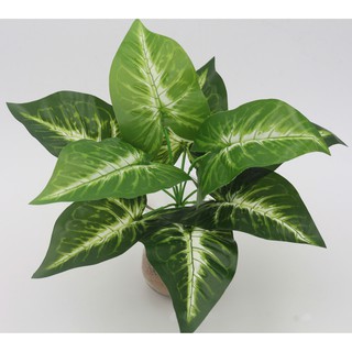 Cây nhựa Pvc - Cây Môn Xanh