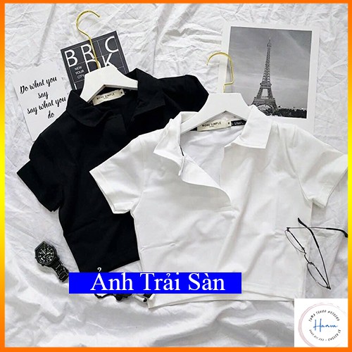 Áo Croptop Có Cổ Tay Ngắn Chất Cotton Co Giãn Loại 1 Hottrend Mặc Đi Chơi, Tập Gym, Mặc Nhà Trẻ Trung Dễ Phối Đồ