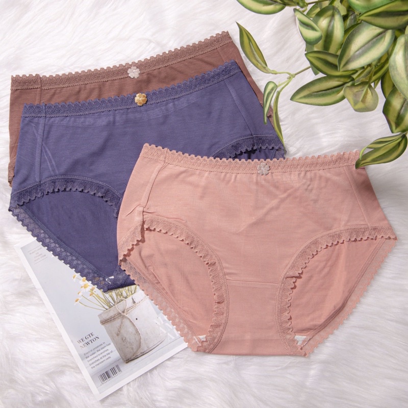 quần lót cotton các màu vnxk chipi
