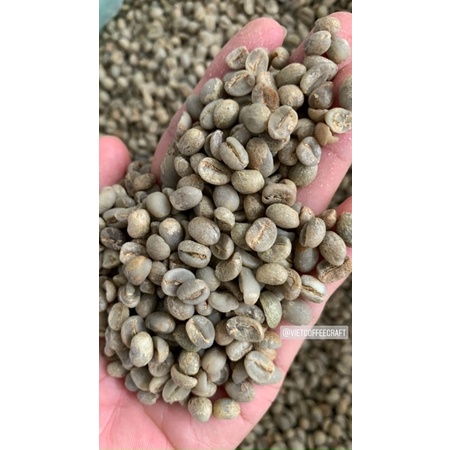Cà phê hạt Arabica 500gram | BigBuy360 - bigbuy360.vn