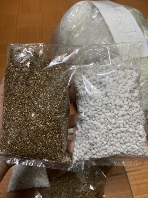 Đá Vermiculite - Nảy mầm hạt giống