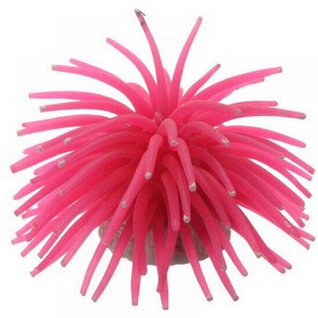 Sứa nhân tạo trang trí hồ cá _Sứa silicon cao su non