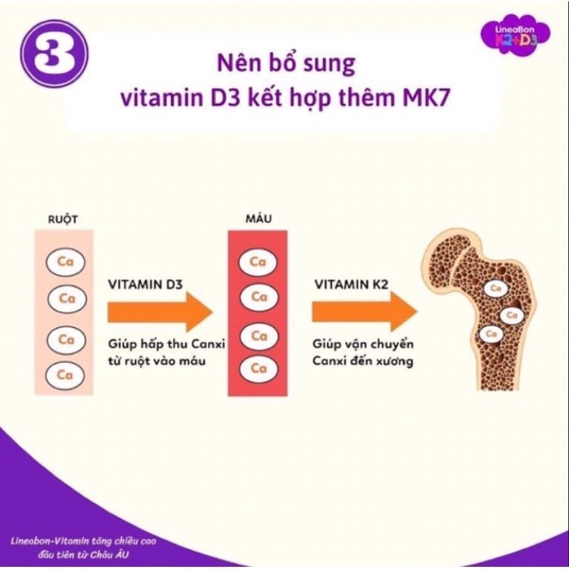 Lineabon K2+D3 - Tăng chiều cao cho trẻ sơ sinh, Lọ 10ml ✅