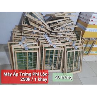Khay đảo trứng 50