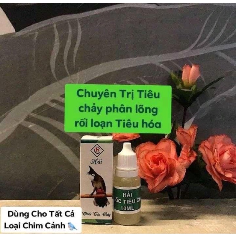 TRỊ PHÂN LỎNG, RỐI LOẠN TIÊU HOÁ dành cho các dòng chim cảnh