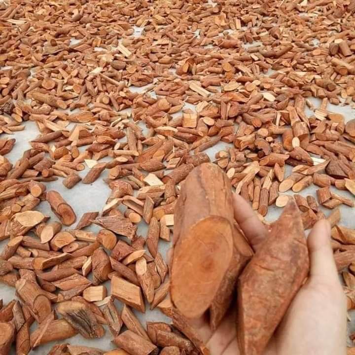 1Kg Thân Cây Mú Từn