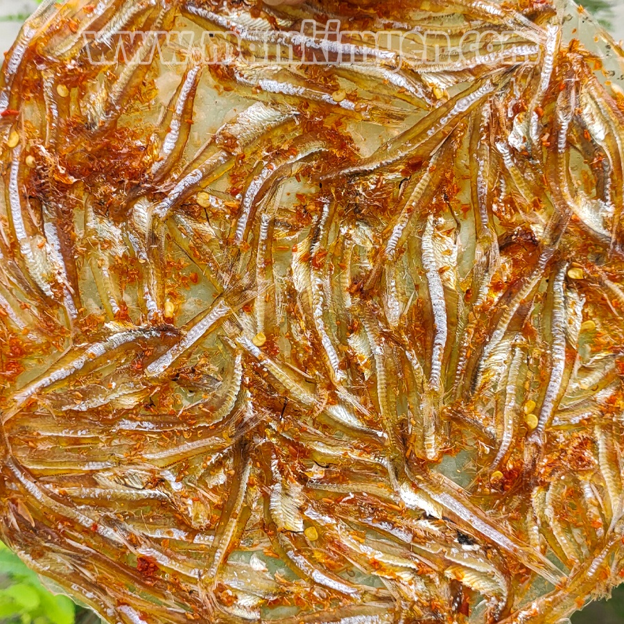 500gr Bánh Tráng Cá Cơm Thơm Ngon Đặc Sản Châu Đốc Hàng Loại 1