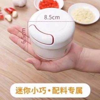 MÁY XAY MINI -  XAY HÀNH TỎI ỚT