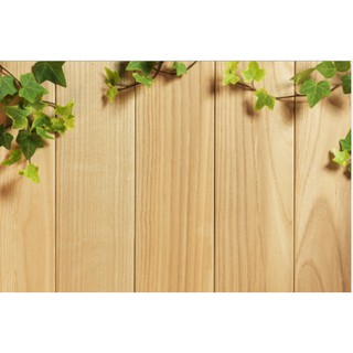 Phong Vải 3D Chụp Ảnh Sản Phẩm  ( BÁN LẺ GIÁ SỈ )