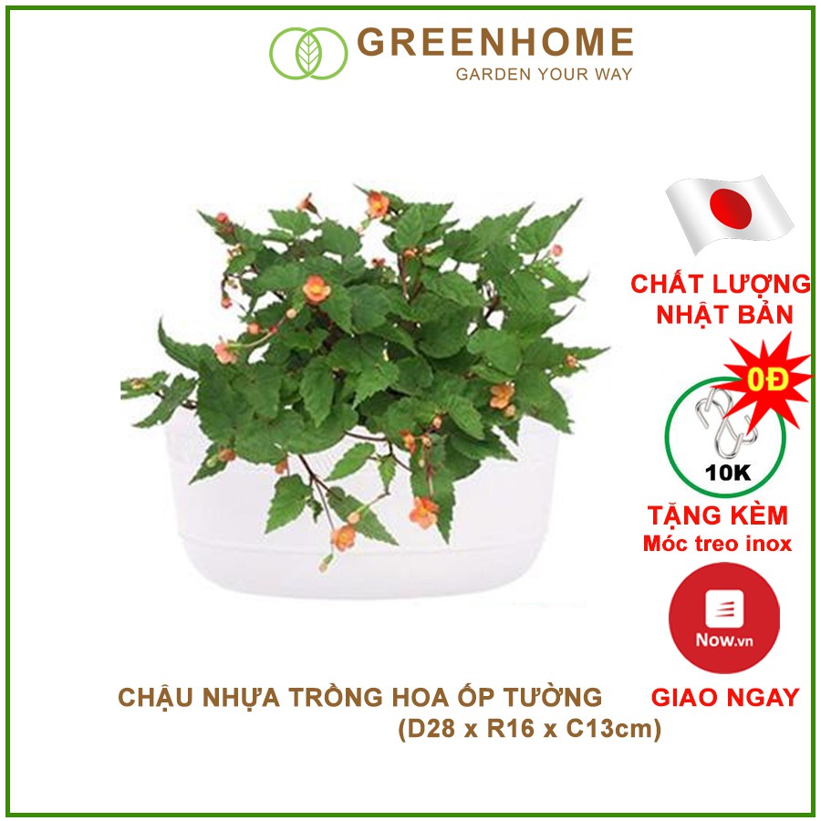 Chậu nhựa trồng hoa Nhật Bản, Daiwa, D28xR16xC13cm, tặng kèm 2 móc inox, độ bền 5 năm |Greenhome