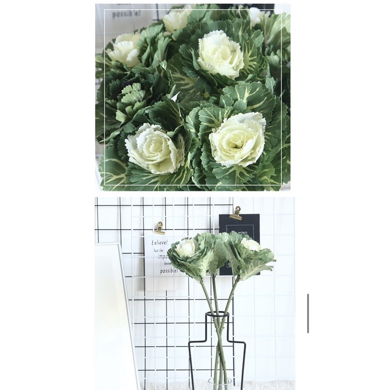 Hoa giả - Cành hoa cải bắp cao cấp mô phỏng sinh động giống thật đến 99%,hoa lụa hoa trang trí decor hoa cô dâu