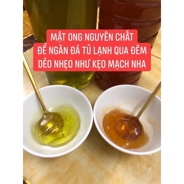 Mật Ong Hoa Cà Phê Nguyên Chất, Mật Ong Daklak Vị Ngọt Thanh Chua Nhẹ, Chai 1 Lít [HCM]