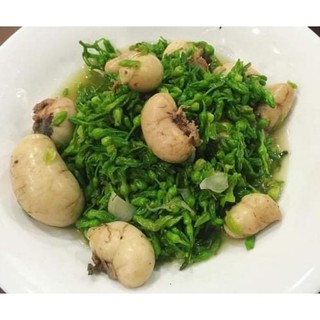 KÊ GÀ Ta . hộp 1kg