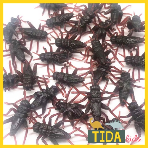Combo 10 Dế Mèn Giả ⚡ Hot Trend ⚡ Đồ Chơi Côn Trùng Giả Bằng Nhựa, Trang Trí Halloween, Đồ Chơi Giải Trí TiDa Kid Shop