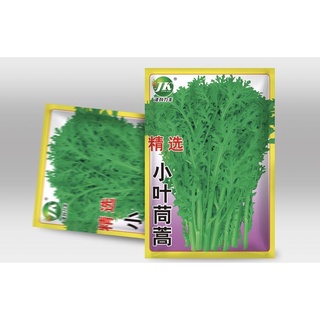 Hạt giống cải cúc nếp