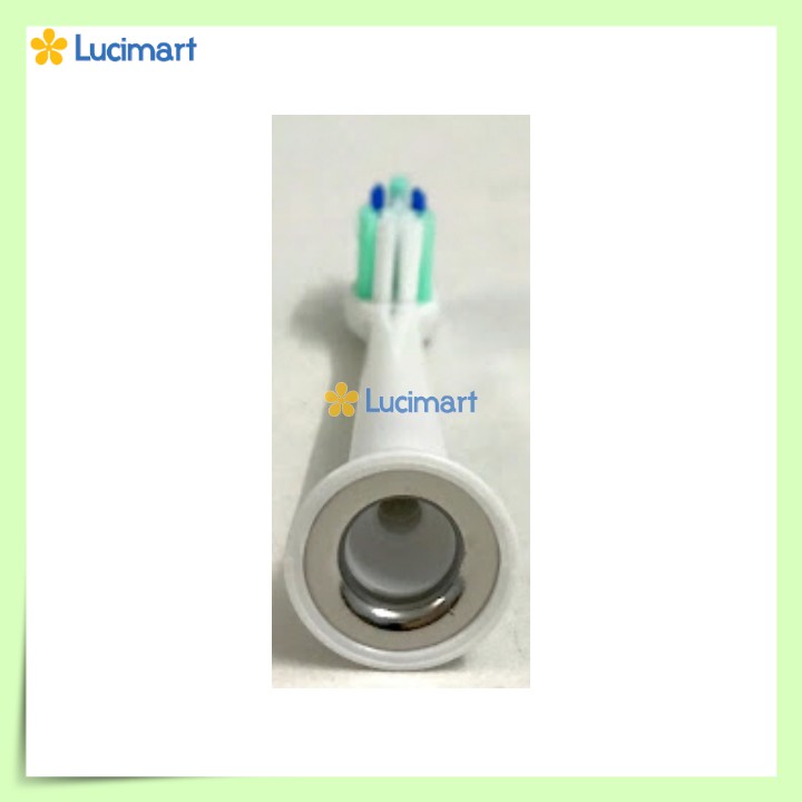 Combo 4 đầu bàn chải điện