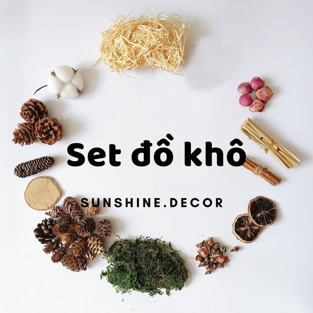 Set đồ khô 11 món decor trang trí chụp ảnh sản phẩm Vintage-Sunshine.decor