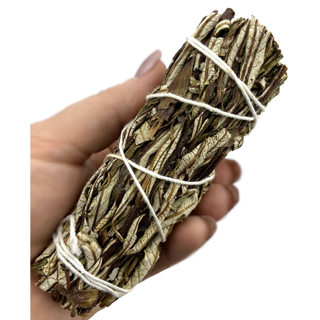 Bó lá mix lá xô thơm trắng và "cây thánh" White Sage + Yerba Santa Smudge Incense 3"-4" Bundle