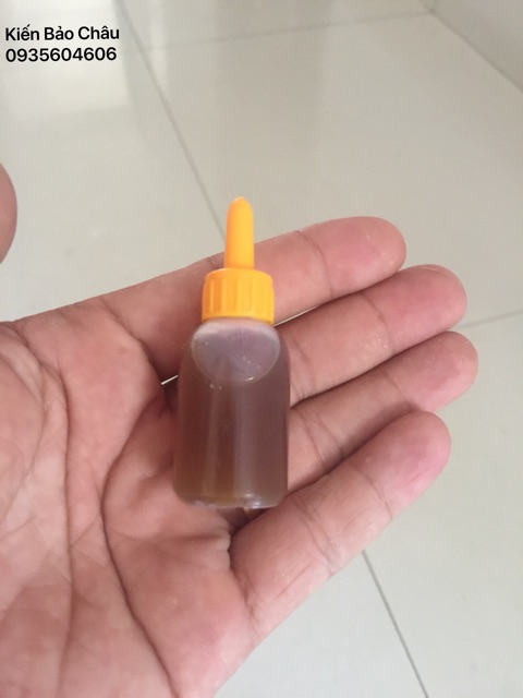 ( không nhãn ) combo 1000 lọ không nhãn thuốc diệt kiến gián sinh học Bảo Châu