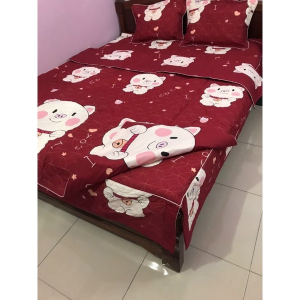 Bộ ga phủ trần bông xẻ góc 5 món cotton boly cao cấp