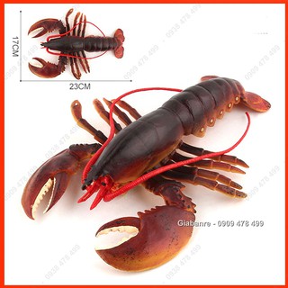 Mô Hình Tôm Hùm Tôm Càng Lobster - 7676