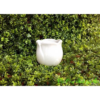 Chậu sứ hoa hồng (trồng cây mini, sen đá, xương rồng)