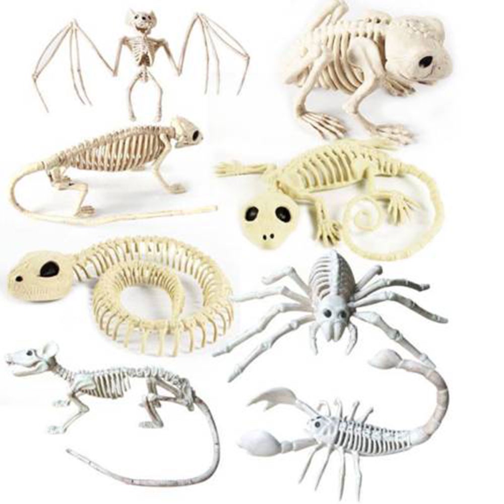 Lifedecor Halloween Skeleton Bat Mouse Frog Prop Animal Bones Party Shop Decoration Horror