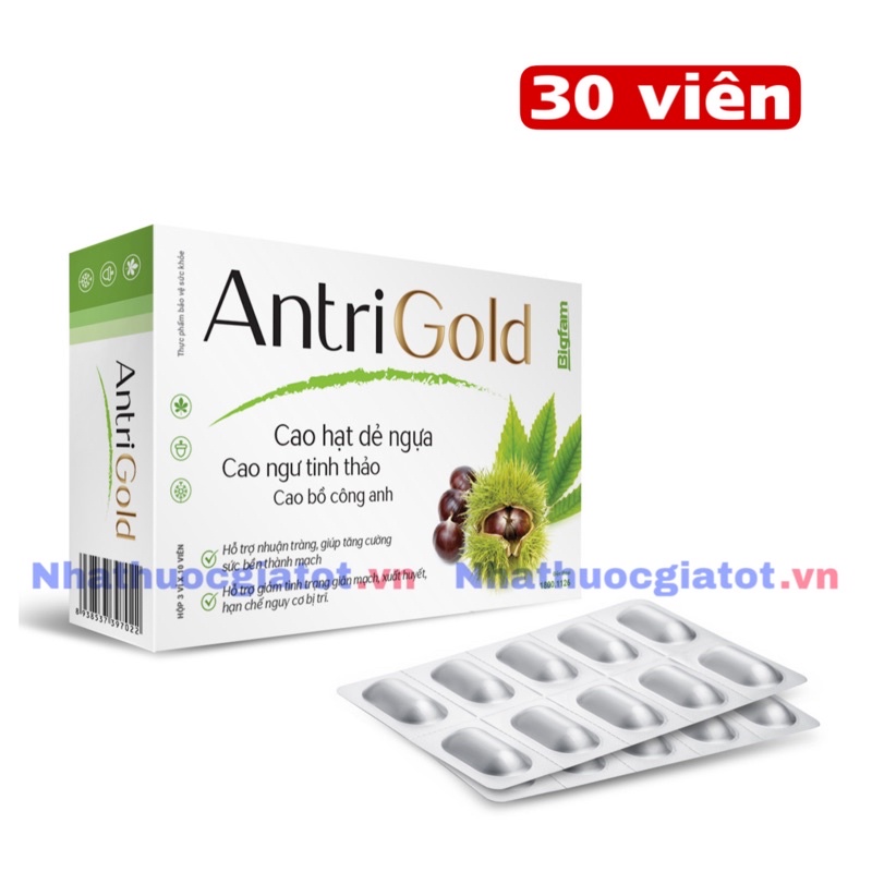 ANTRI GOLD BIGFAM - Viên Uống Ngừa Trĩ, Nhuận Tràng, Bảo Vệ Thành Mạch Hộp 30 Viên