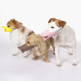 Rọ Mõm Mỏ Vịt Cho Cún 😙